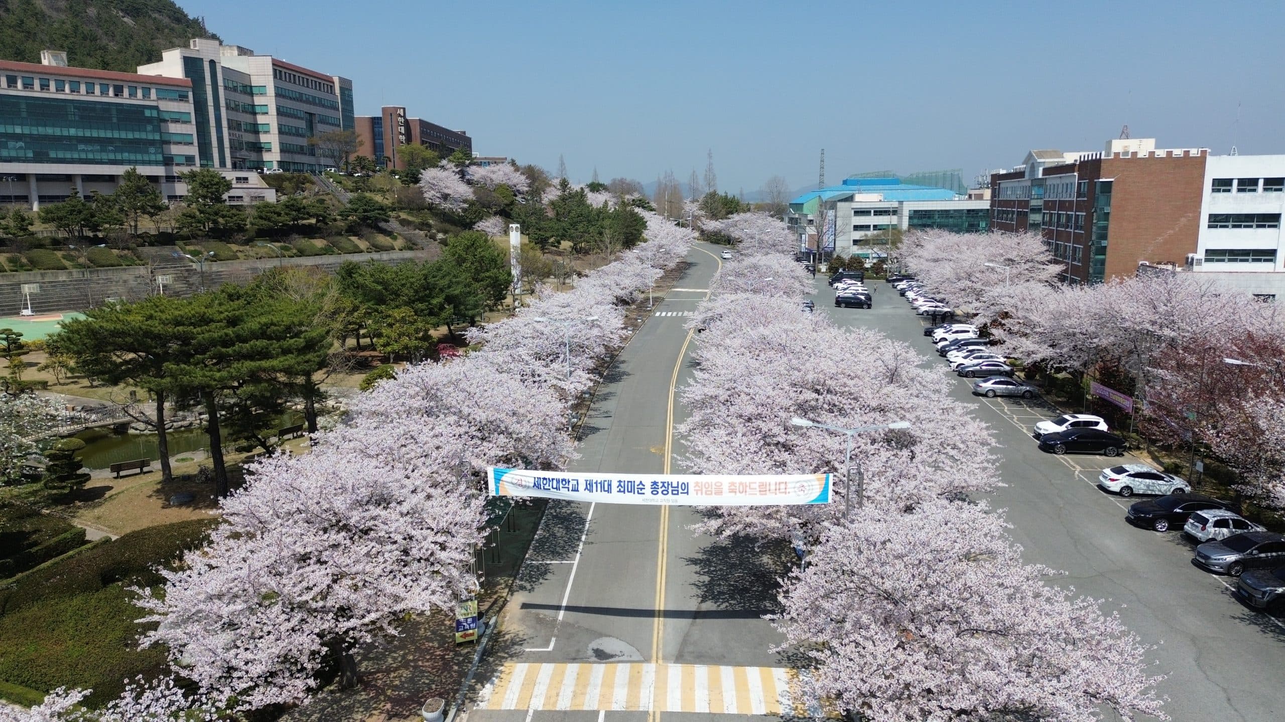 Sehan University