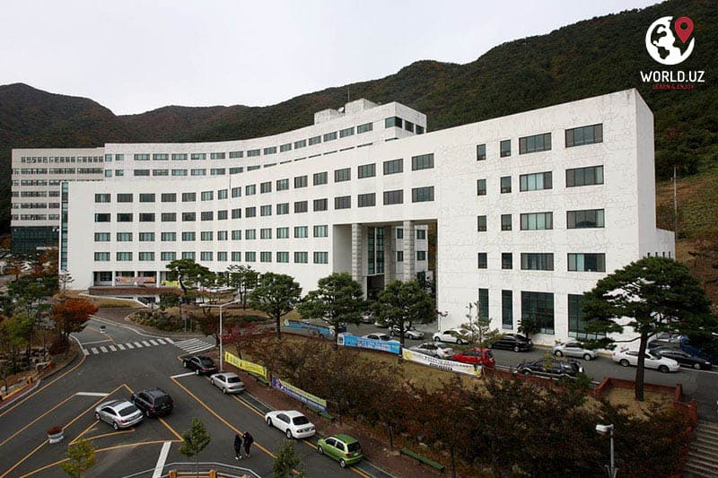 Youngsan University